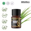 5ML GS 