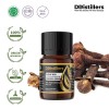 5ML GS 
