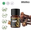 10ML GS 
