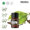 2ML GS 