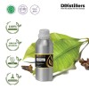 500ML SS 