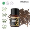 10ML GS 