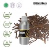 500ML SS 