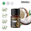 10ML GS 