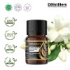 5ML GS 