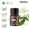 10ML GS 