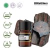 2ML GS 