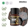 5ML GS 