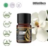 10ML GS 