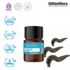 2ML GS 