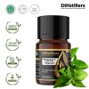 10ML GS 