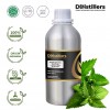 500ML SS 