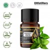 2ML GS 