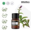 2ML GS 
