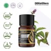 5ML GS 