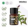 10ML GS 