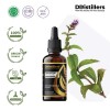 50ML GS 