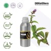 500ML SS 