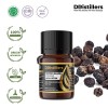 5ML GS 