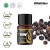 10ML GS 