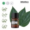 2ML GS 