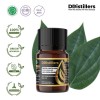 5ML GS 