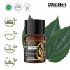 10ML GS 