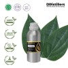 500ML SS 