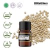 2ML GS 