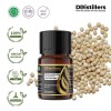 10ML GS 