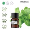 2ML GS 