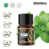 5ML GS 
