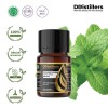 10ML GS 