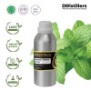 1L SS 