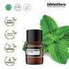 2ML GS 