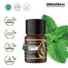 5ML GS 