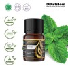 10ML GS 