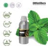 500ML SS 