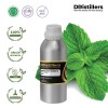 1L SS 