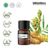 2ML GS 