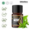 5ML GS 
