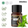 10ML GS 