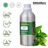 500ML SS 