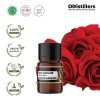 2ML GS 