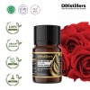 5ML GS 