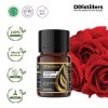 10ML GS 