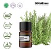 2ML GS 