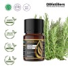 10ML GS 