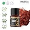 10ML GS 