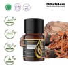 10ML GS 